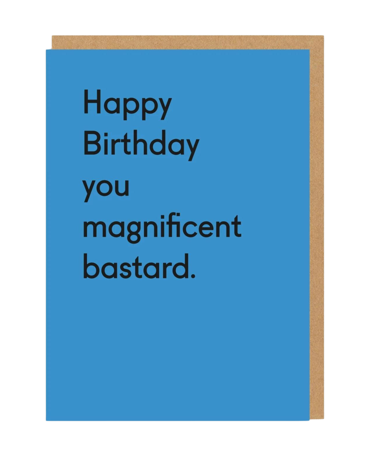 You Magnificent Bastard Birthday Card